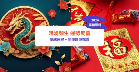 豬 運勢|【屬豬2024生肖運勢】暗湧頻生，運勢反覆｜屬豬運 